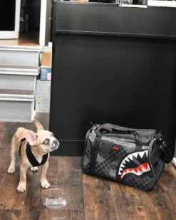 PET CARRIERS>SPRAYGROUND 3AM PET CARRIER