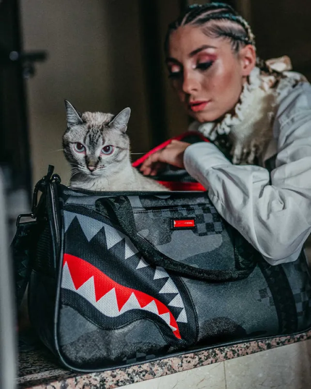 PET CARRIERS>SPRAYGROUND 3AM PET CARRIER