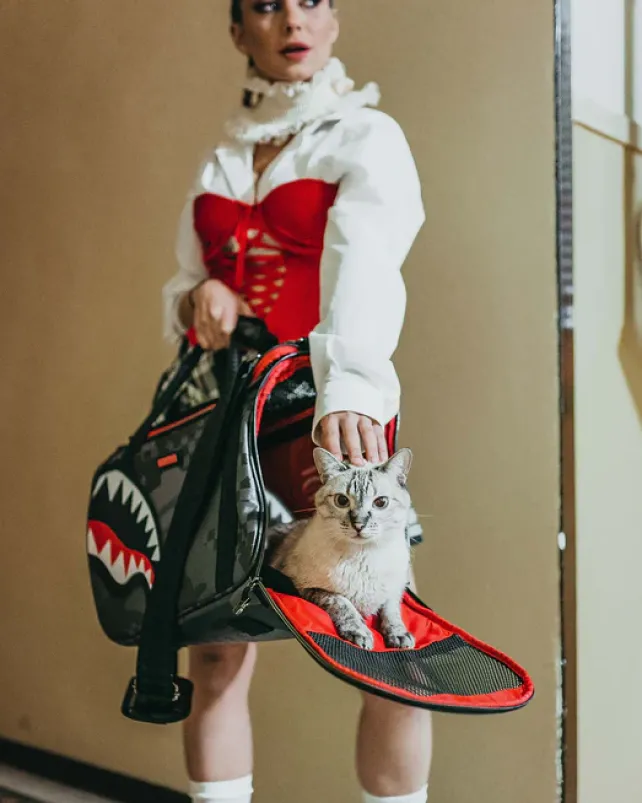 PET CARRIERS>SPRAYGROUND 3AM PET CARRIER