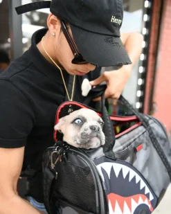 PET CARRIERS><noscript><img width=