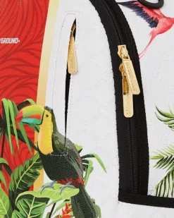 BACKPACKS><noscript><img width=