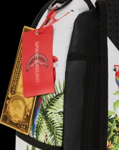 BACKPACKS><noscript><img width=