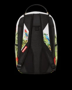 BACKPACKS><noscript><img width=