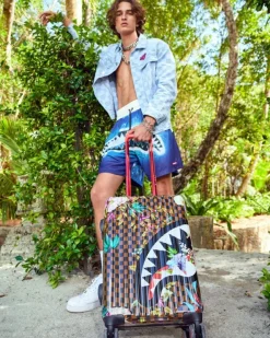 CARRY-ON LUGGAGE><noscript><img width=