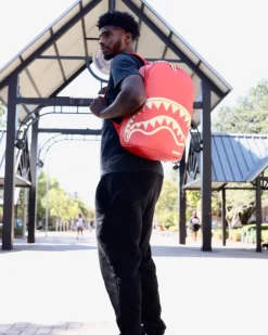 BACKPACKS><noscript><img width=