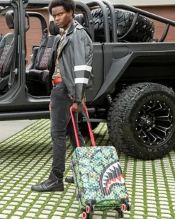 CARRY-ON LUGGAGE><noscript><img width=