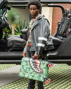 CARRY-ON LUGGAGE><noscript><img width=