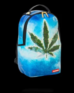 BACKPACKS><noscript><img width=