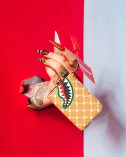 WALLETS><noscript><img width=