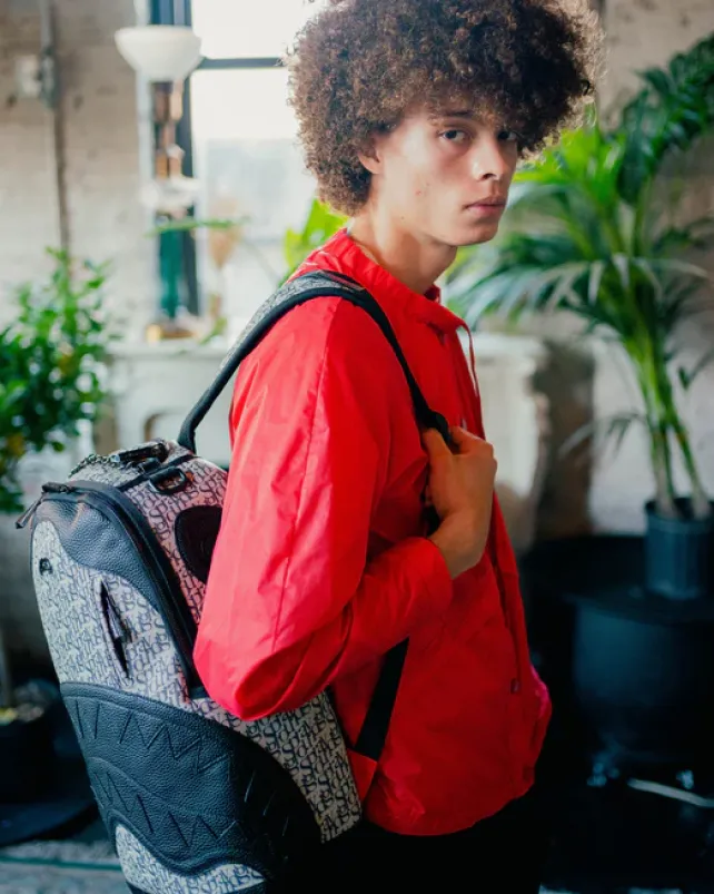 BACKPACKS>SPRAYGROUND SG ALL DAY BACKPACK (DLXV)