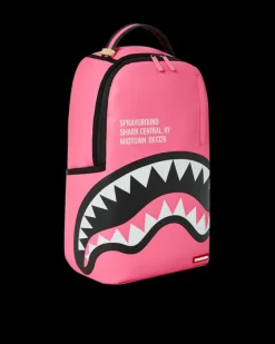 BACKPACKS><noscript><img width=