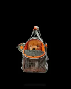 PET CARRIERS><noscript><img width=