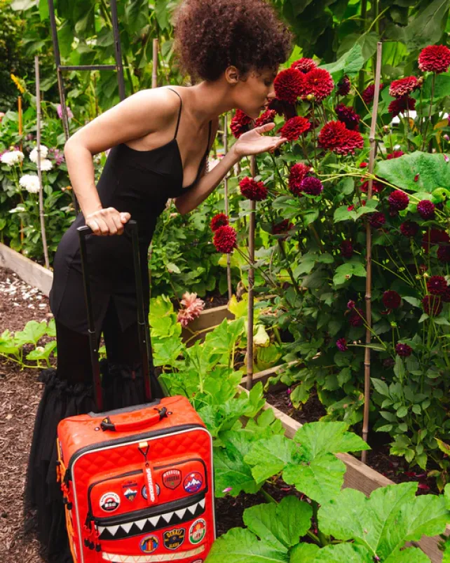 CARRY-ON LUGGAGE>SPRAYGROUND THE GLOBAL EXPEDITION JETSETTER CARRY-ON LUGGAGE