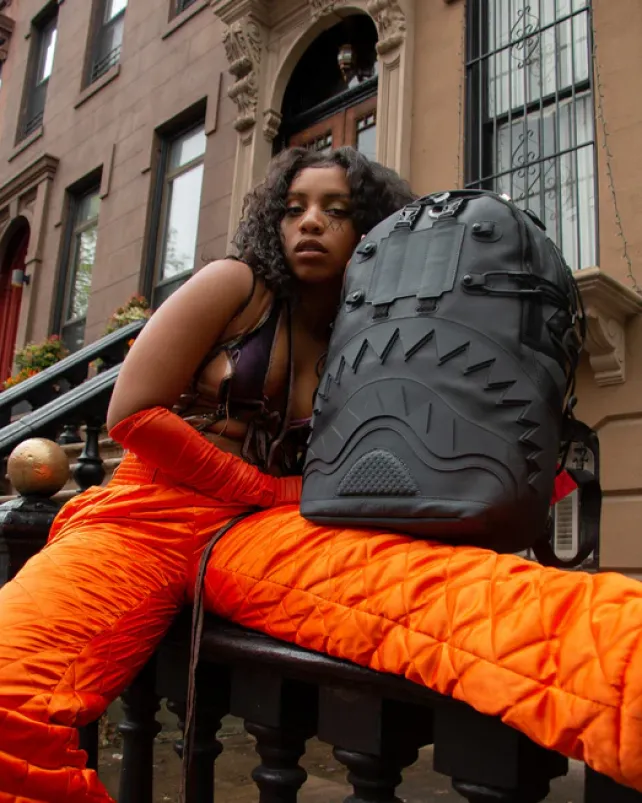 BACKPACKS>SPRAYGROUND THE VAULT BACKPACK (DLXV)