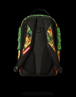 BACKPACKS><noscript><img width=