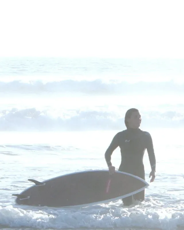 SURFBOARDS>SPRAYGROUND WTF SURFBOARD